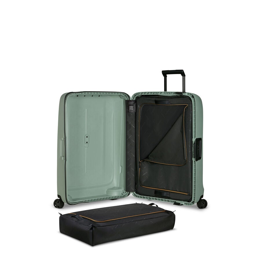 Essens Large Spinner in the color Sage. image number 1