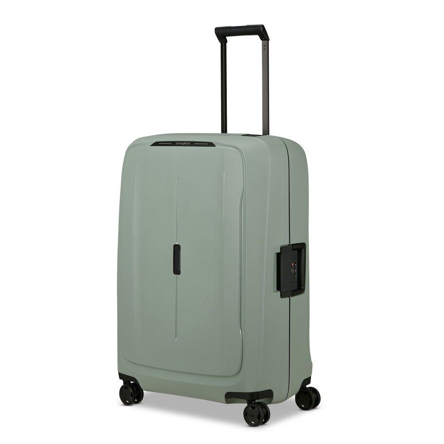 Essens Large Spinner in the color Sage. image number 0
