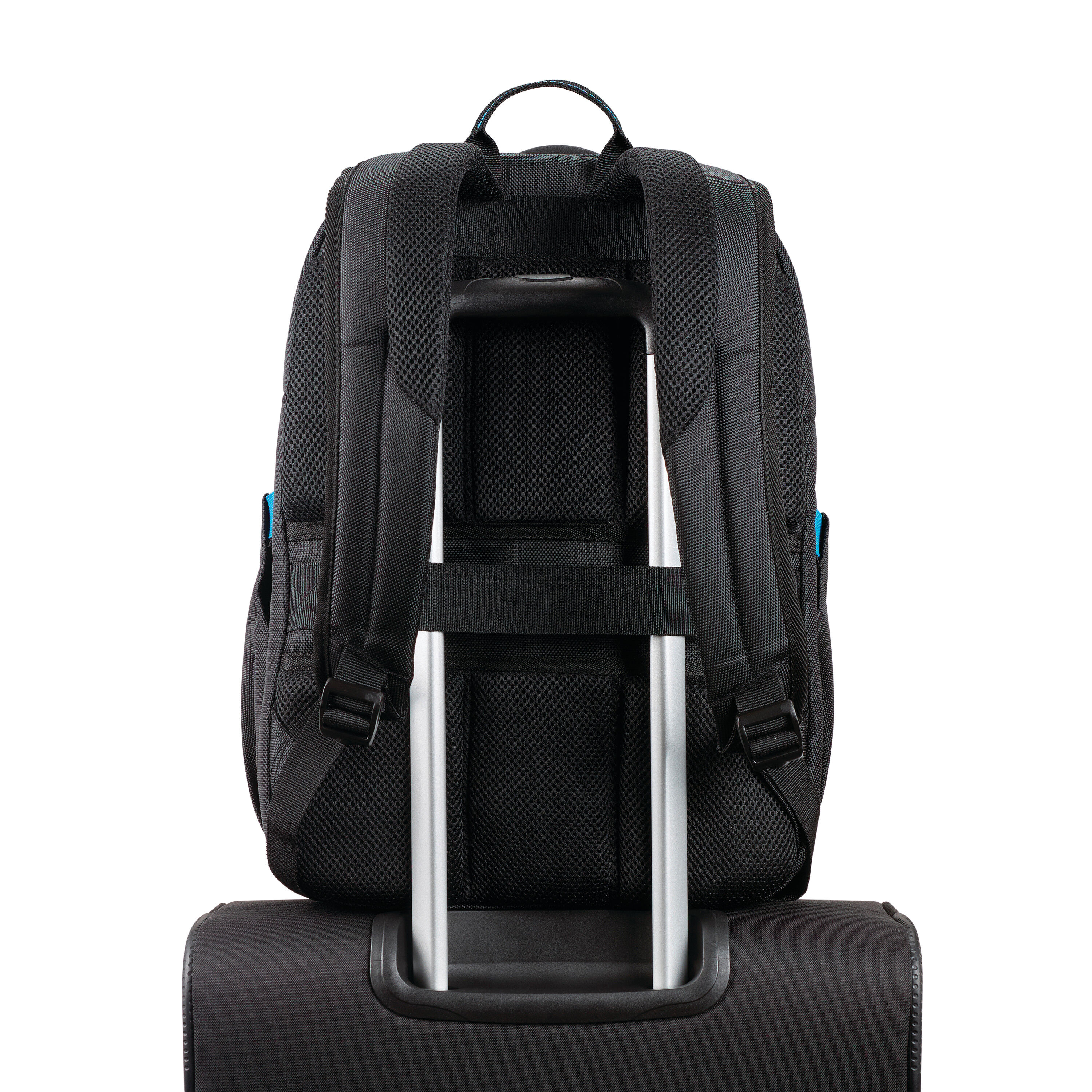 Buy Novex Laptop Backpack for USD 69.99 | Samsonite US